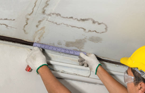 Reliable Water Damage Repair contractor in Cygnet, OH by Hirex Water Damage